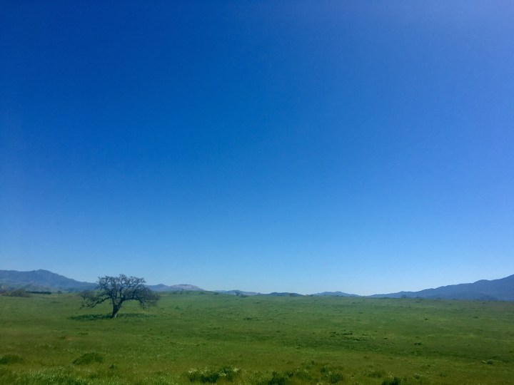 Week One: Dreams vs&nbsp;Fears