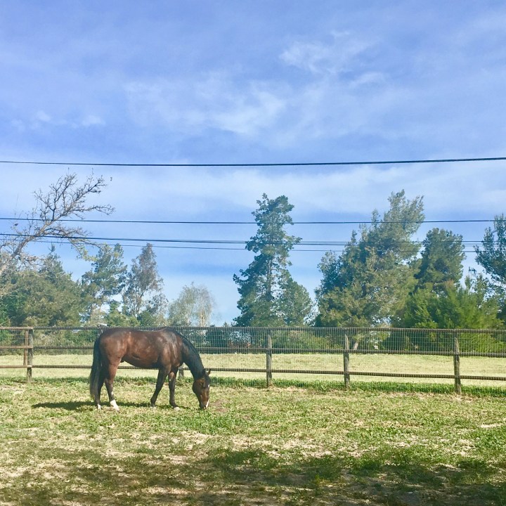 Week Four: One Month&nbsp;Down