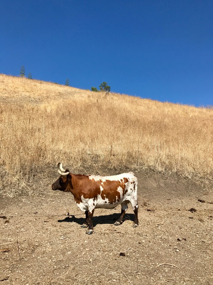 Week Nineteen: The&nbsp;Seed